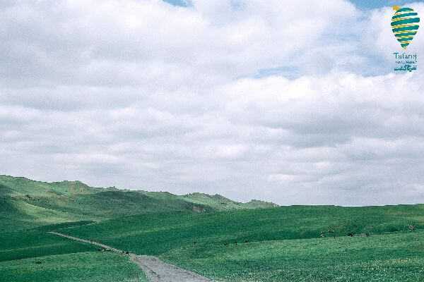 راهنمای سفر به گرجستان