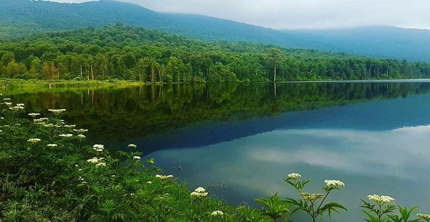 راهنمای سفر به ساری
